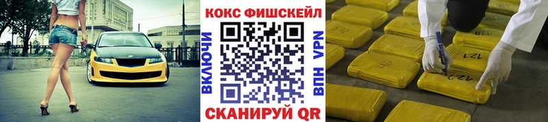 Cocaine FishScale  Купить  Андреаполь 