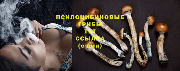 спайс Козельск
