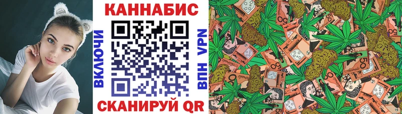Купить закладки  Андреаполь  Каннабис семена 